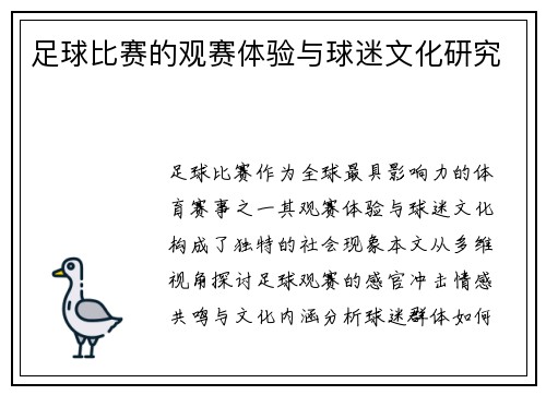足球比赛的观赛体验与球迷文化研究