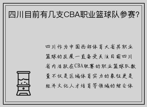 四川目前有几支CBA职业篮球队参赛？